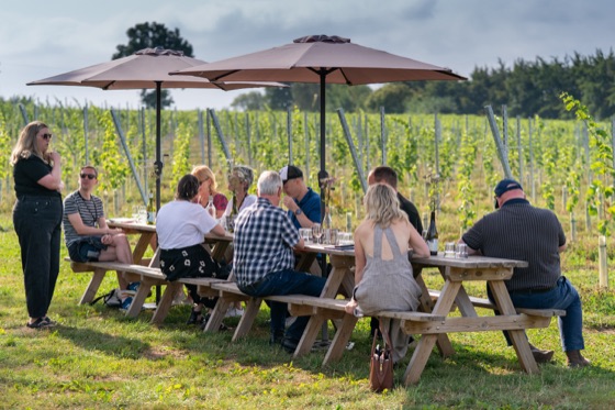 The Write Taste report on Welsh vineyards and wines
